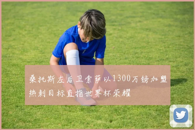 桑托斯左后卫索萨以1300万镑加盟热刺目标直指世界杯荣耀