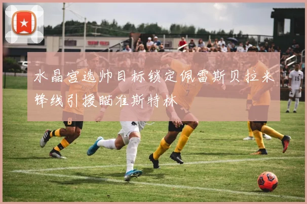 水晶宫选帅目标锁定佩雷斯贝拉米锋线引援瞄准斯特林