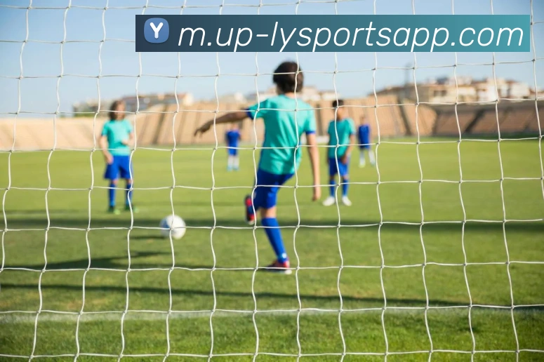 乐鱼体育平台生态图