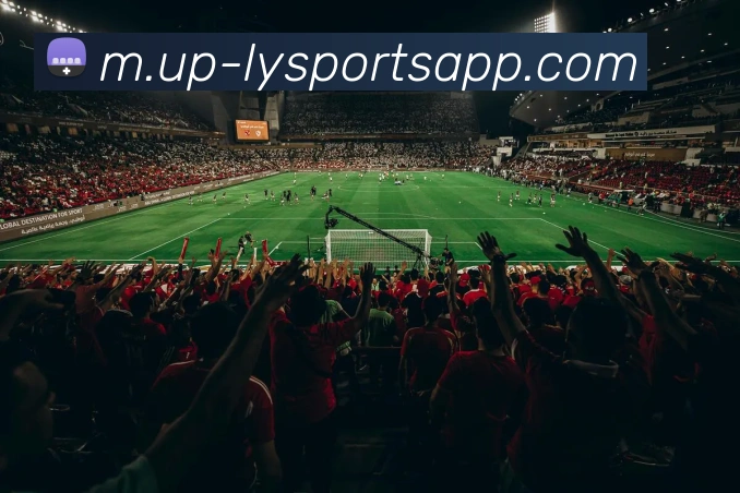 乐鱼体育APP 封面图